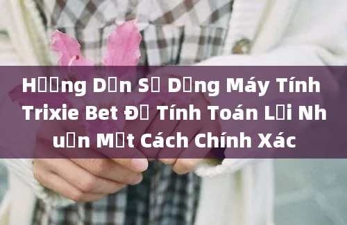 Hướng Dẫn Sử Dụng Máy Tính Trixie Bet Để Tính Toán Lợi Nhuận Một Cách Chính Xác