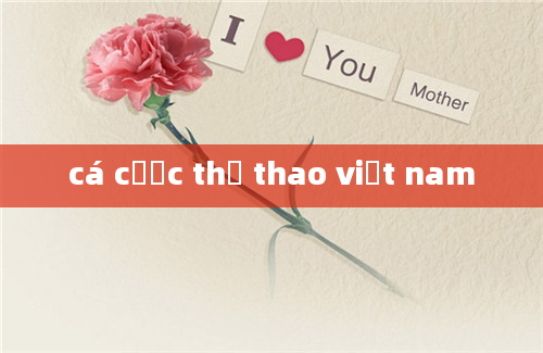 cá cược thể thao việt nam