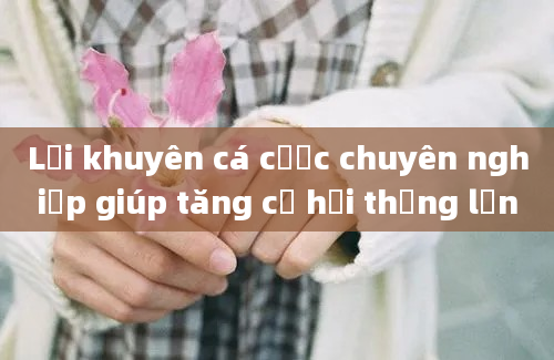 Lời khuyên cá cược chuyên nghiệp giúp tăng cơ hội thắng lớn