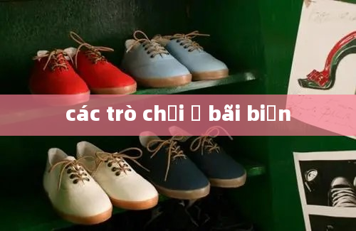 các trò chơi ở bãi biển