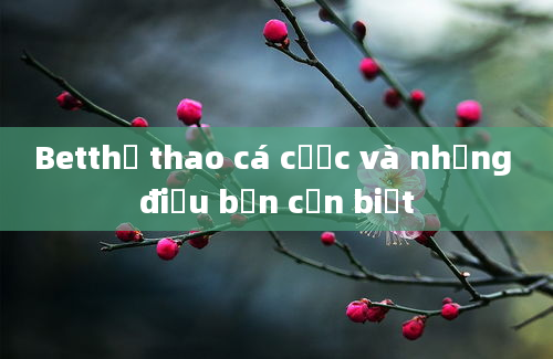 Betthể thao cá cược và những điều bạn cần biết