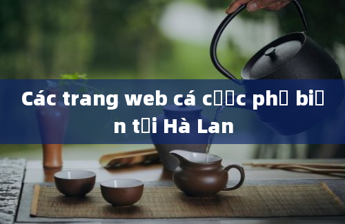 Các trang web cá cược phổ biến tại Hà Lan