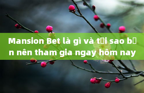 Mansion Bet là gì và tại sao bạn nên tham gia ngay hôm nay