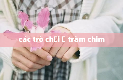 các trò chơi ở tràm chim