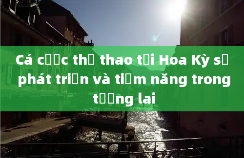 Cá cược thể thao tại Hoa Kỳ sự phát triển và tiềm năng trong tương lai