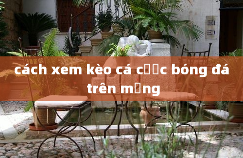 cách xem kèo cá cược bóng đá trên mạng