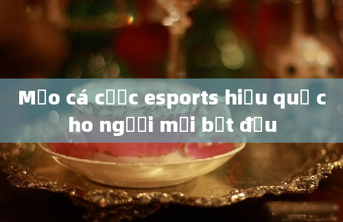 Mẹo cá cược esports hiệu quả cho người mới bắt đầu