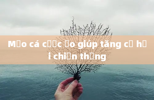 Mẹo cá cược ảo giúp tăng cơ hội chiến thắng