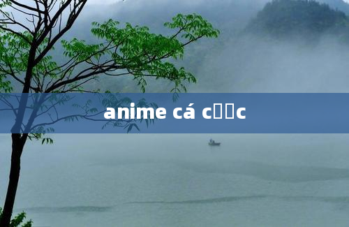 anime cá cược