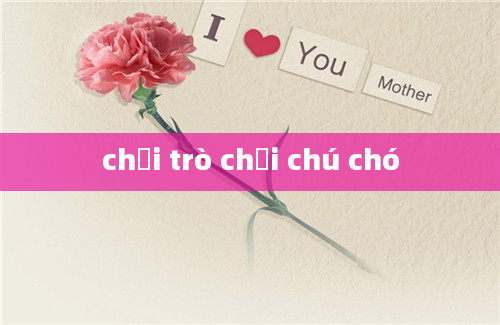 chơi trò chơi chú chó