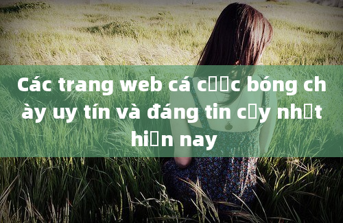 Các trang web cá cược bóng chày uy tín và đáng tin cậy nhất hiện nay