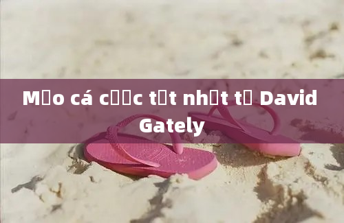 Mẹo cá cược tốt nhất từ David Gately