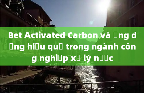 Bet Activated Carbon và ứng dụng hiệu quả trong ngành công nghiệp xử lý nước