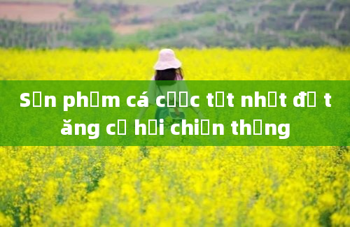 Sản phẩm cá cược tốt nhất để tăng cơ hội chiến thắng