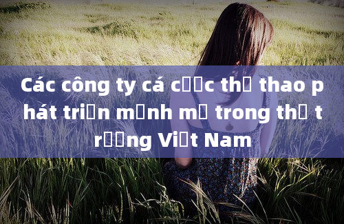 Các công ty cá cược thể thao phát triển mạnh mẽ trong thị trường Việt Nam