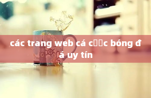 các trang web cá cược bóng đá uy tín