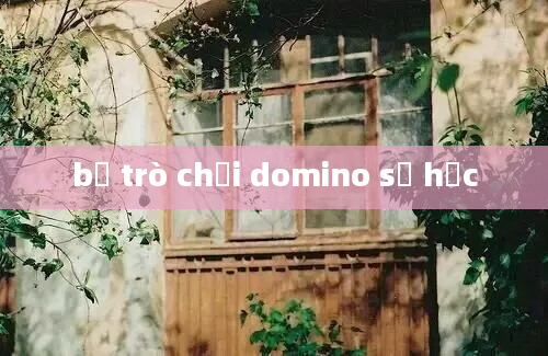 bộ trò chơi domino số học