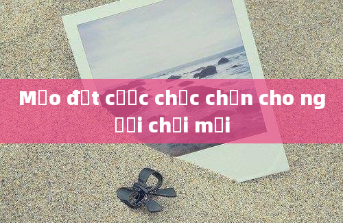 Mẹo đặt cược chắc chắn cho người chơi mới