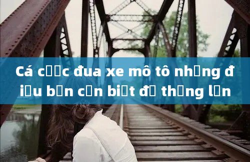 Cá cược đua xe mô tô những điều bạn cần biết để thắng lớn