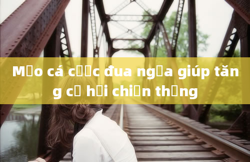 Mẹo cá cược đua ngựa giúp tăng cơ hội chiến thắng