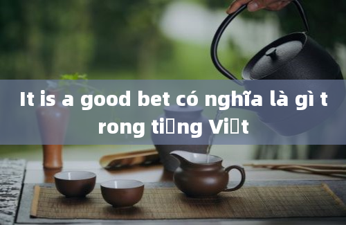 It is a good bet có nghĩa là gì trong tiếng Việt