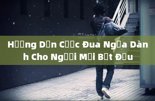 Hướng Dẫn Cược Đua Ngựa Dành Cho Người Mới Bắt Đầu