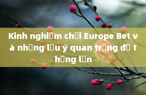 Kinh nghiệm chơi Europe Bet và những lưu ý quan trọng để thắng lớn