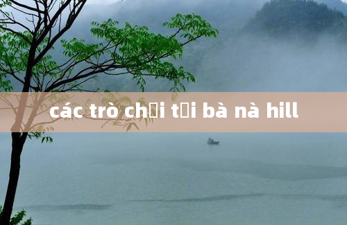 các trò chơi tại bà nà hill