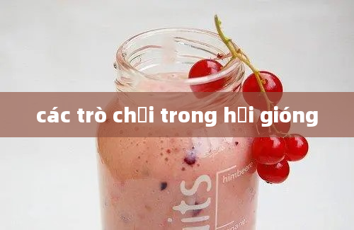 các trò chơi trong hội gióng