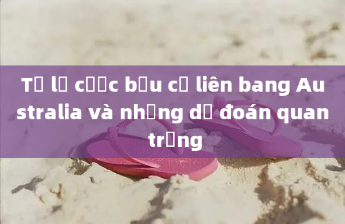 Tỷ lệ cược bầu cử liên bang Australia và những dự đoán quan trọng