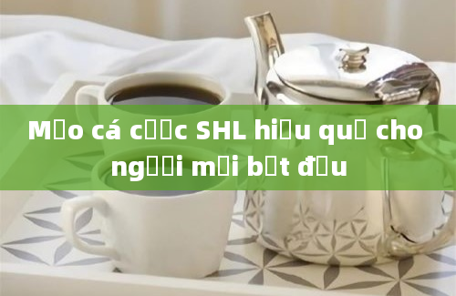 Mẹo cá cược SHL hiệu quả cho người mới bắt đầu