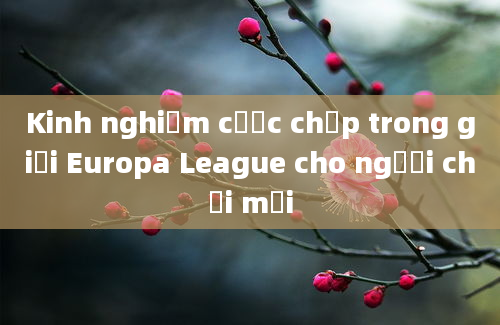 Kinh nghiệm cược chấp trong giải Europa League cho người chơi mới