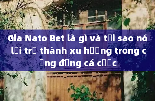 Gia Nato Bet là gì và tại sao nó lại trở thành xu hướng trong cộng đồng cá cược