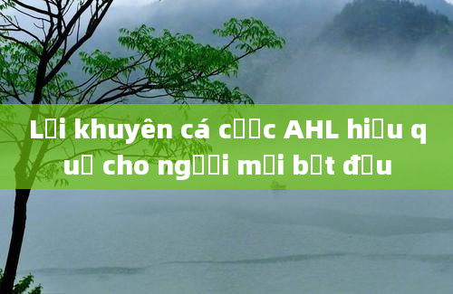 Lời khuyên cá cược AHL hiệu quả cho người mới bắt đầu