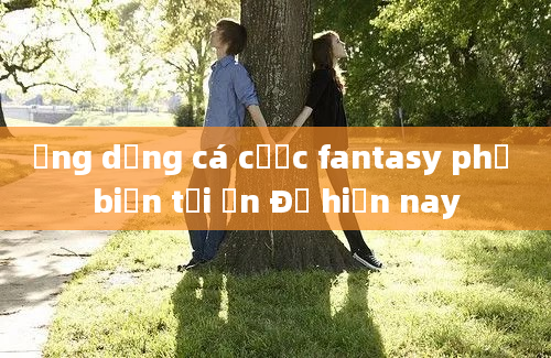 Ứng dụng cá cược fantasy phổ biến tại Ấn Độ hiện nay