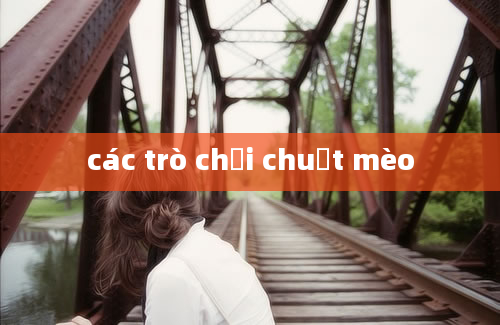 các trò chơi chuột mèo