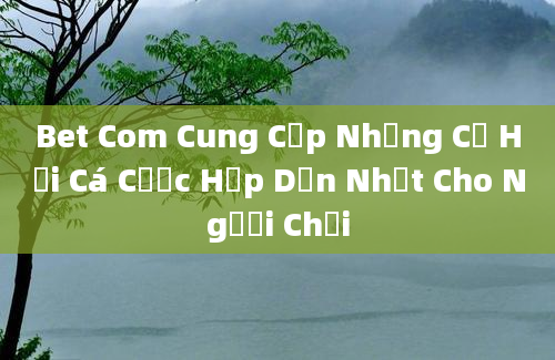 Bet Com Cung Cấp Những Cơ Hội Cá Cược Hấp Dẫn Nhất Cho Người Chơi