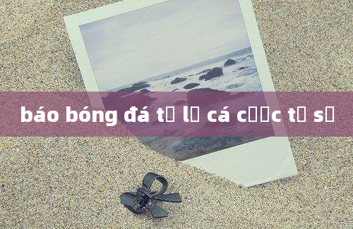 báo bóng đá tỷ lệ cá cược tỷ số