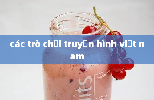 các trò chơi truyền hình việt nam