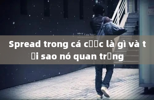 Spread trong cá cược là gì và tại sao nó quan trọng