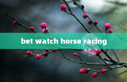 bet watch horse racing