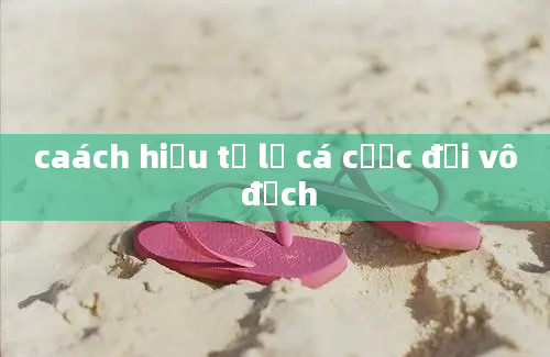 caách hiểu tỉ lệ cá cược đội vô địch