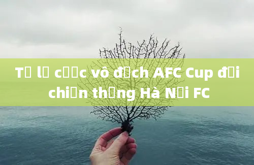 Tỷ lệ cược vô địch AFC Cup đội chiến thắng Hà Nội FC