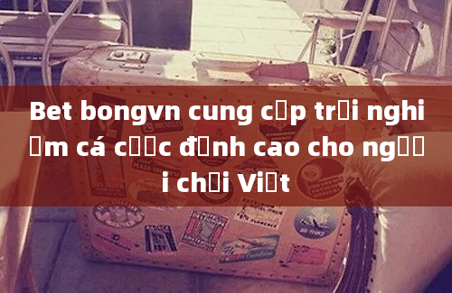 Bet bongvn cung cấp trải nghiệm cá cược đỉnh cao cho người chơi Việt