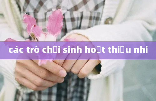 các trò chơi sinh hoạt thiếu nhi