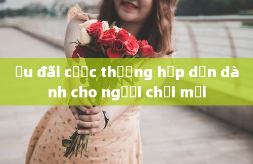 Ưu đãi cược thưởng hấp dẫn dành cho người chơi mới