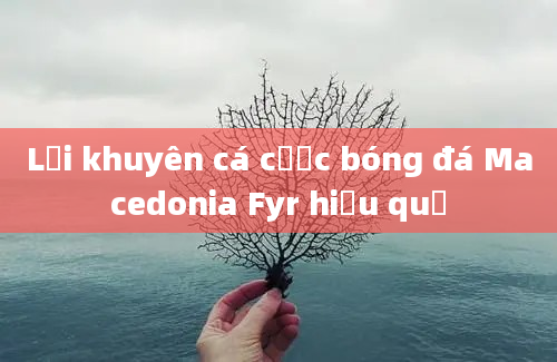 Lời khuyên cá cược bóng đá Macedonia Fyr hiệu quả