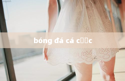 bóng đá cá cược