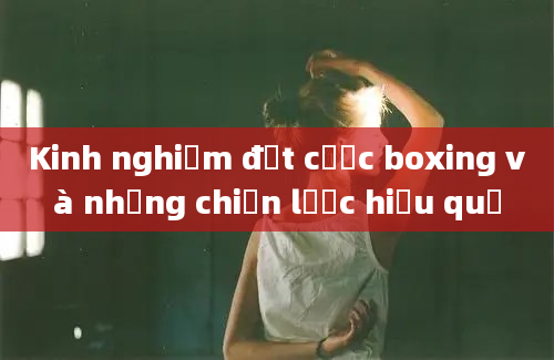 Kinh nghiệm đặt cược boxing và những chiến lược hiệu quả