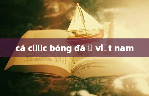 cá cược bóng đá ở việt nam